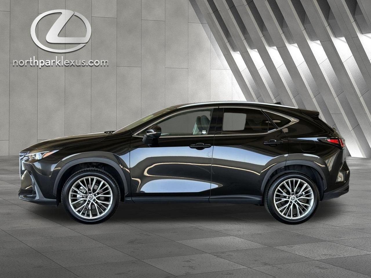 2025 Lexus NX