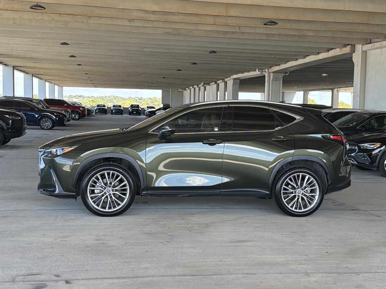 2025 Lexus NX 350 Premium