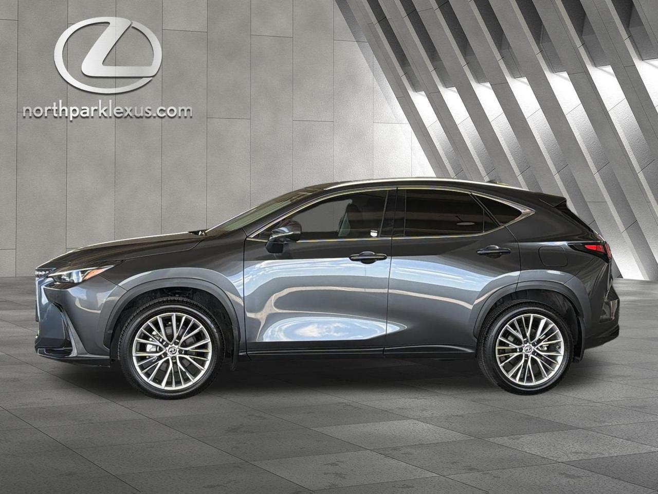 2025 Lexus NX
