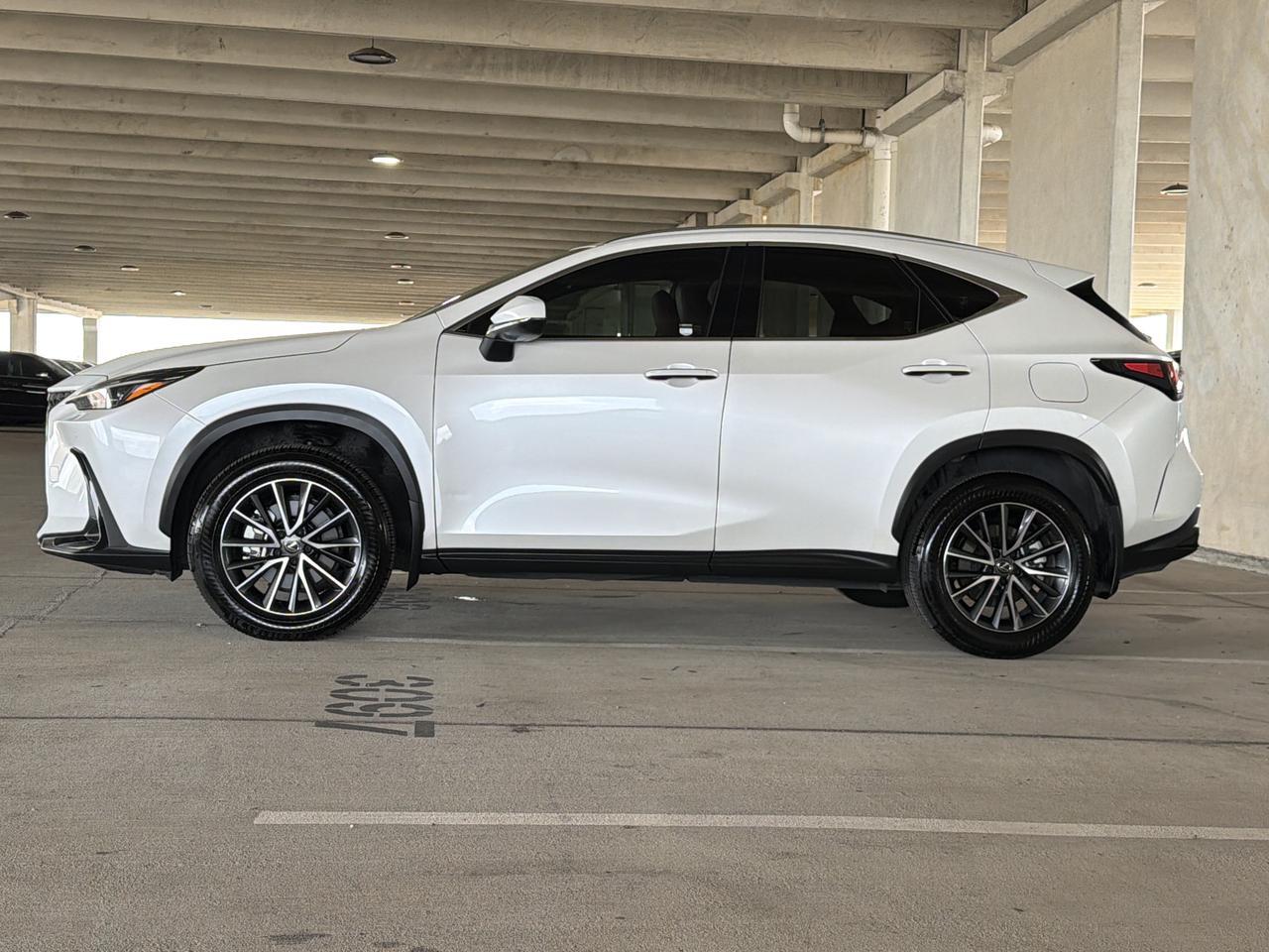 2025 Lexus NX