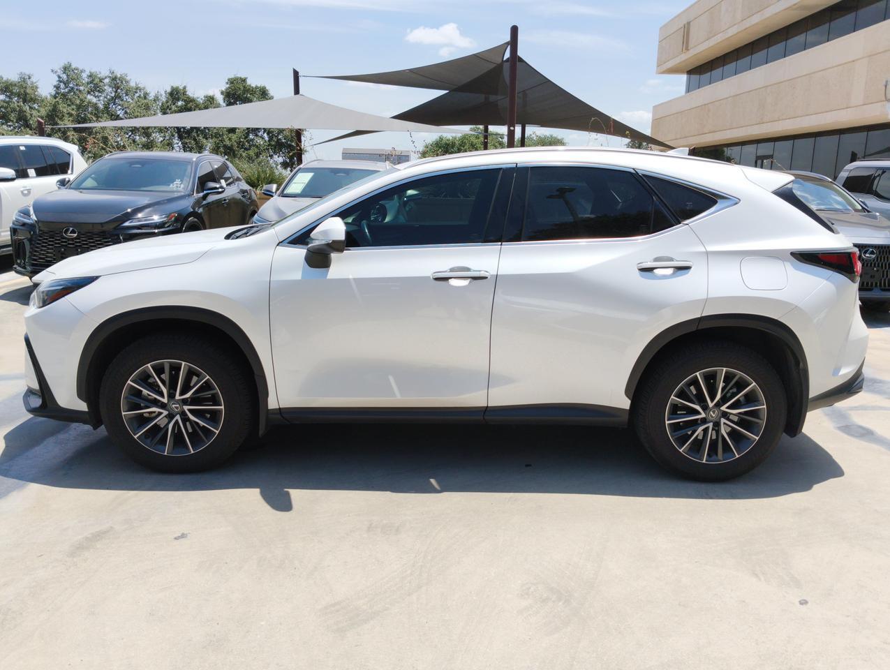 2025 Lexus NX