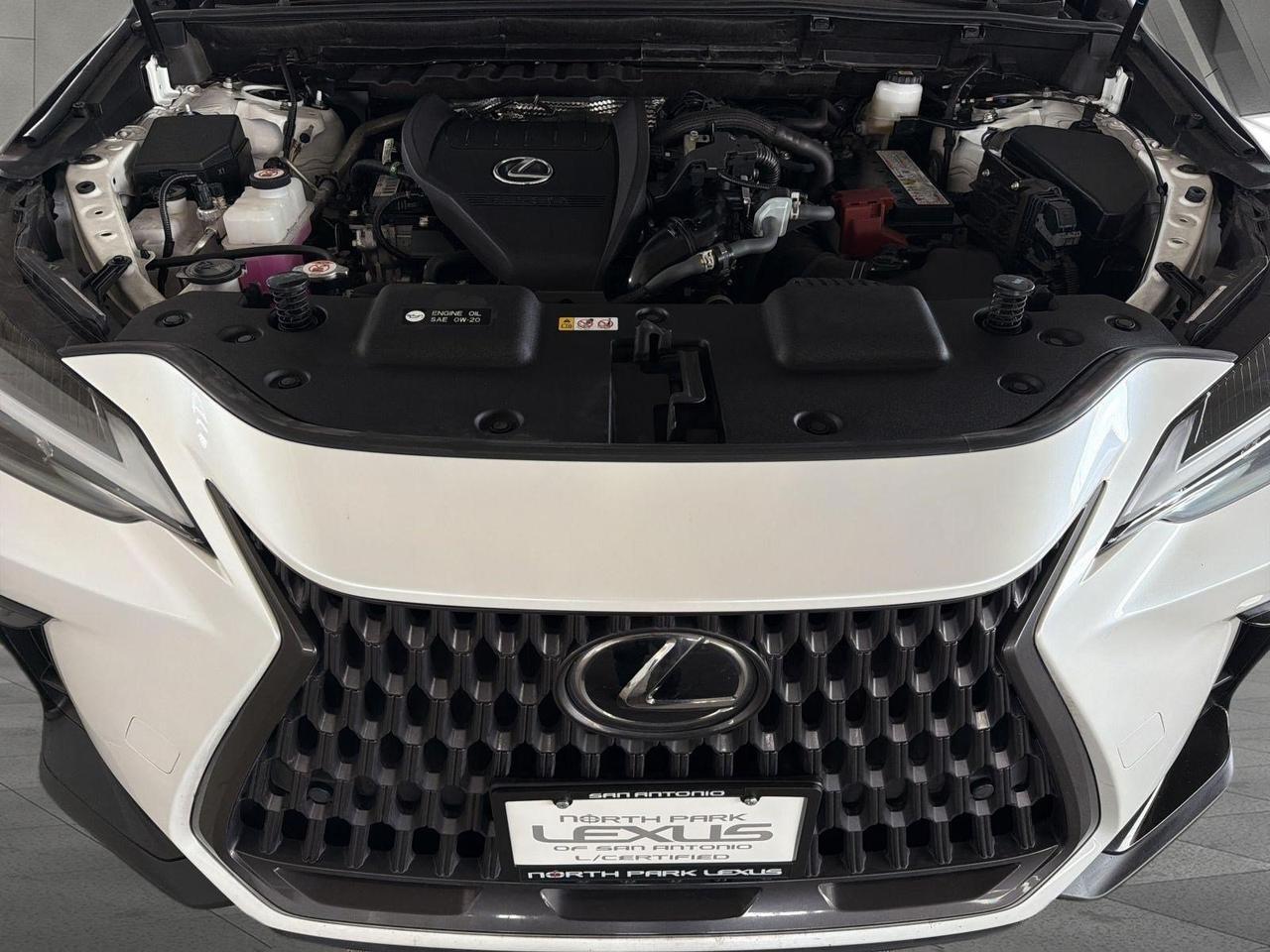 2025 Lexus NX 350 Premium San Antonio TX
