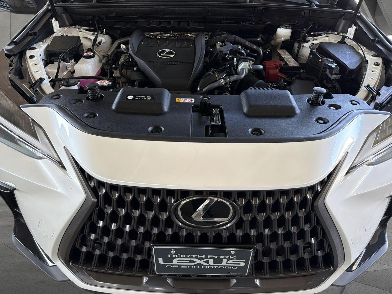 2025 Lexus NX 350 Premium San Antonio TX