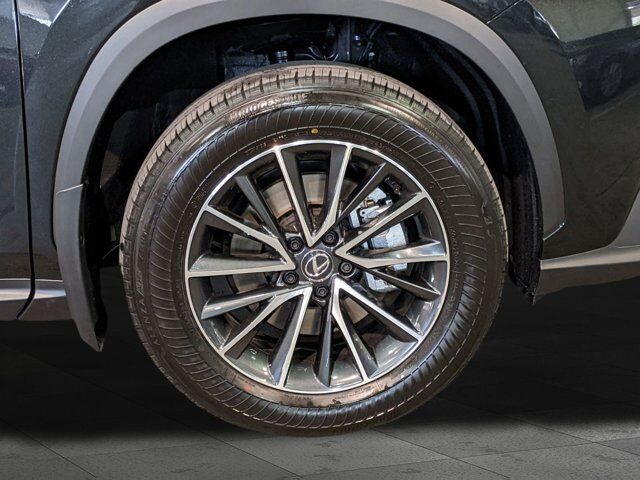2025 Lexus NX 350 Premium San Antonio TX