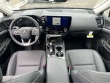 2025 Lexus NX 350 Premium San Diego County CA