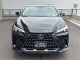2025 Lexus NX 350 Premium San Diego County CA