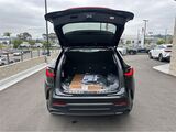 2025 Lexus NX 350 Premium San Diego County CA