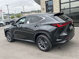 2025 Lexus NX 350 Premium San Diego County CA