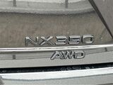 2025 Lexus NX 350 Premium San Diego County CA