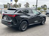 2025 Lexus NX 350 Premium San Diego County CA