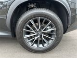 2025 Lexus NX 350 Premium San Diego County CA