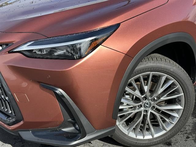 2025 Lexus NX 350 Premium Tucson AZ