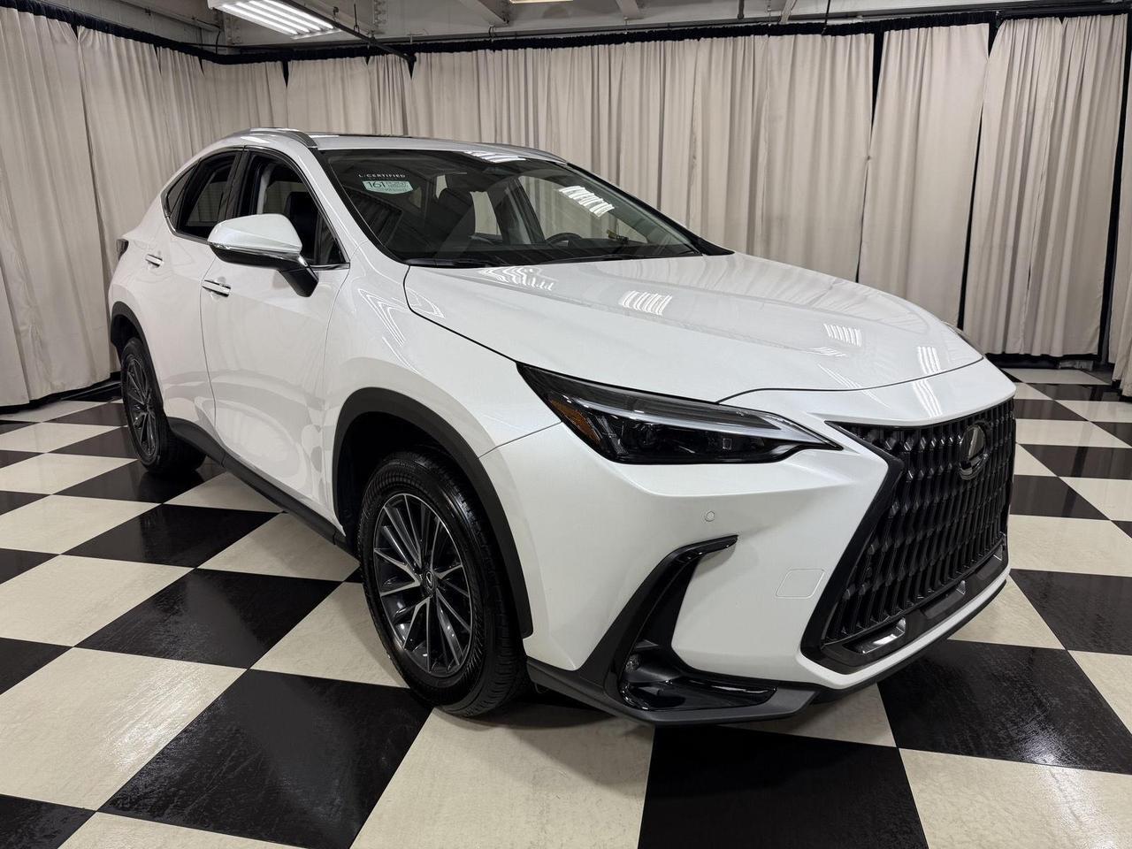 2025 Lexus NX