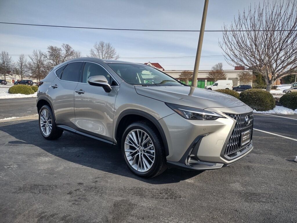 2025 Lexus NX 350 Premium