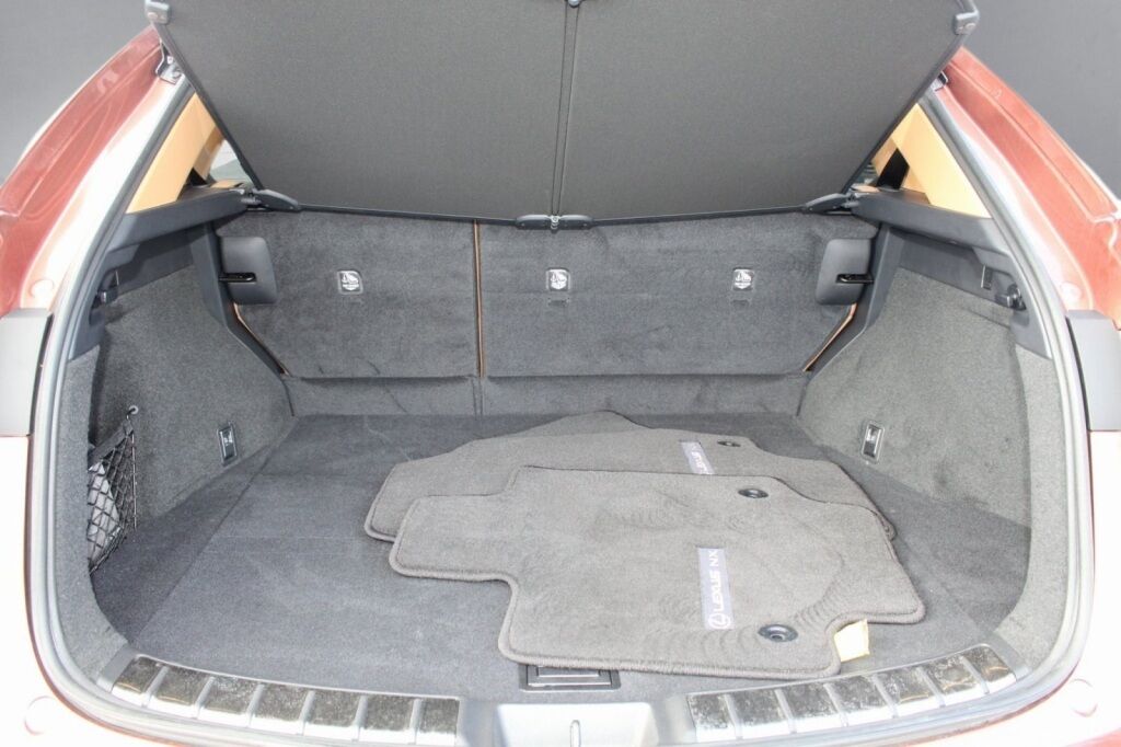 2025 Lexus NX 350 Premium Richmond VA