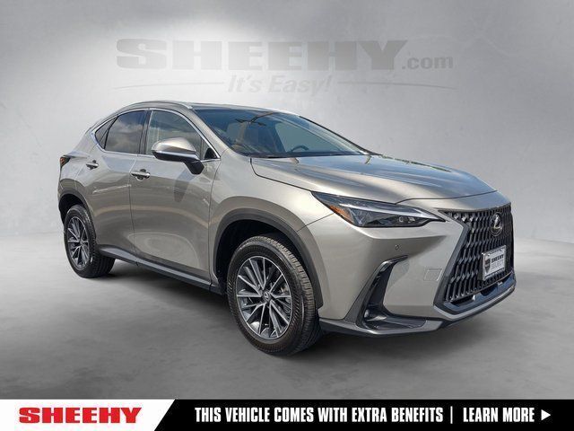 2025 Lexus NX