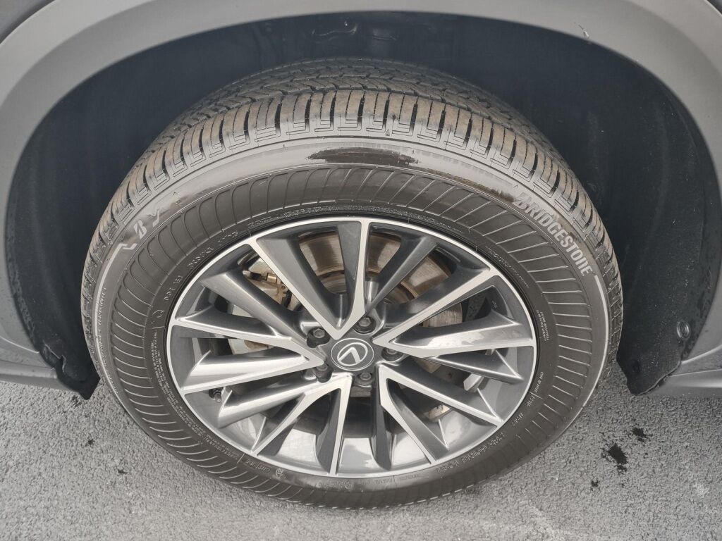 2025 Lexus NX 350 Premium Richmond VA