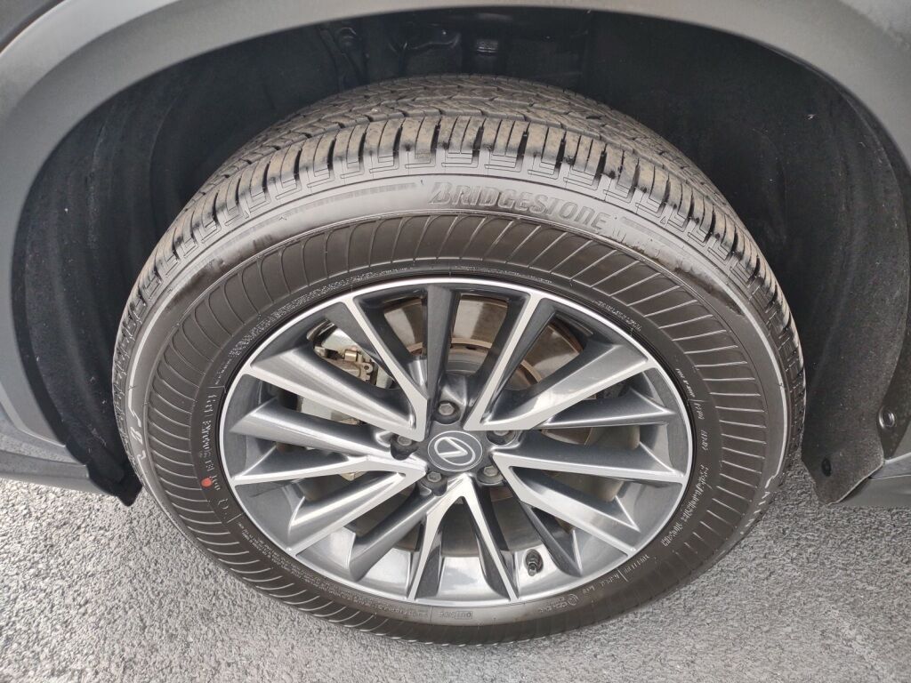 2025 Lexus NX 350 Premium Richmond VA