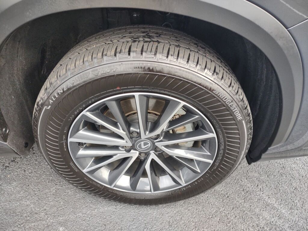 2025 Lexus NX 350 Premium Richmond VA