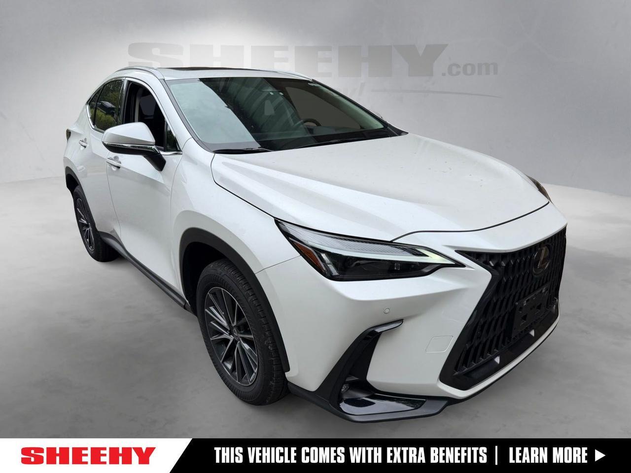 2025 Lexus NX