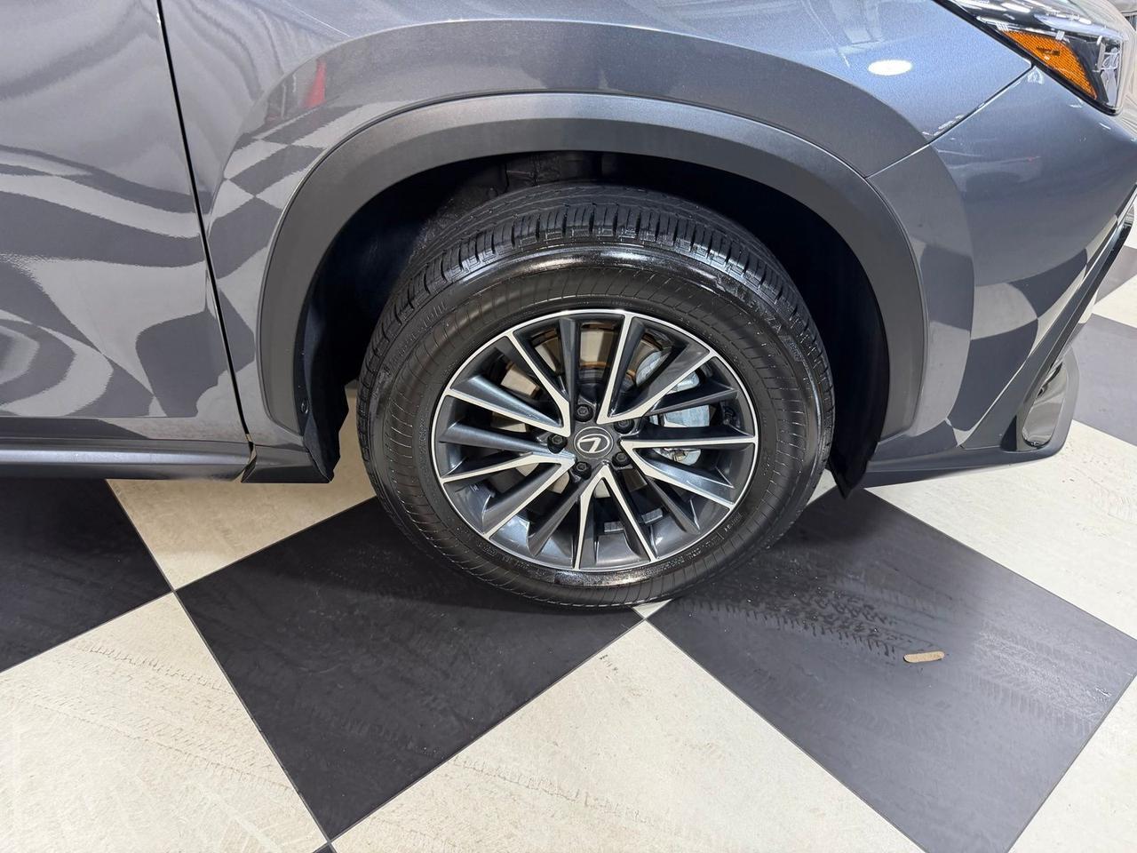 2025 Lexus NX 350 Premium Annapolis MD