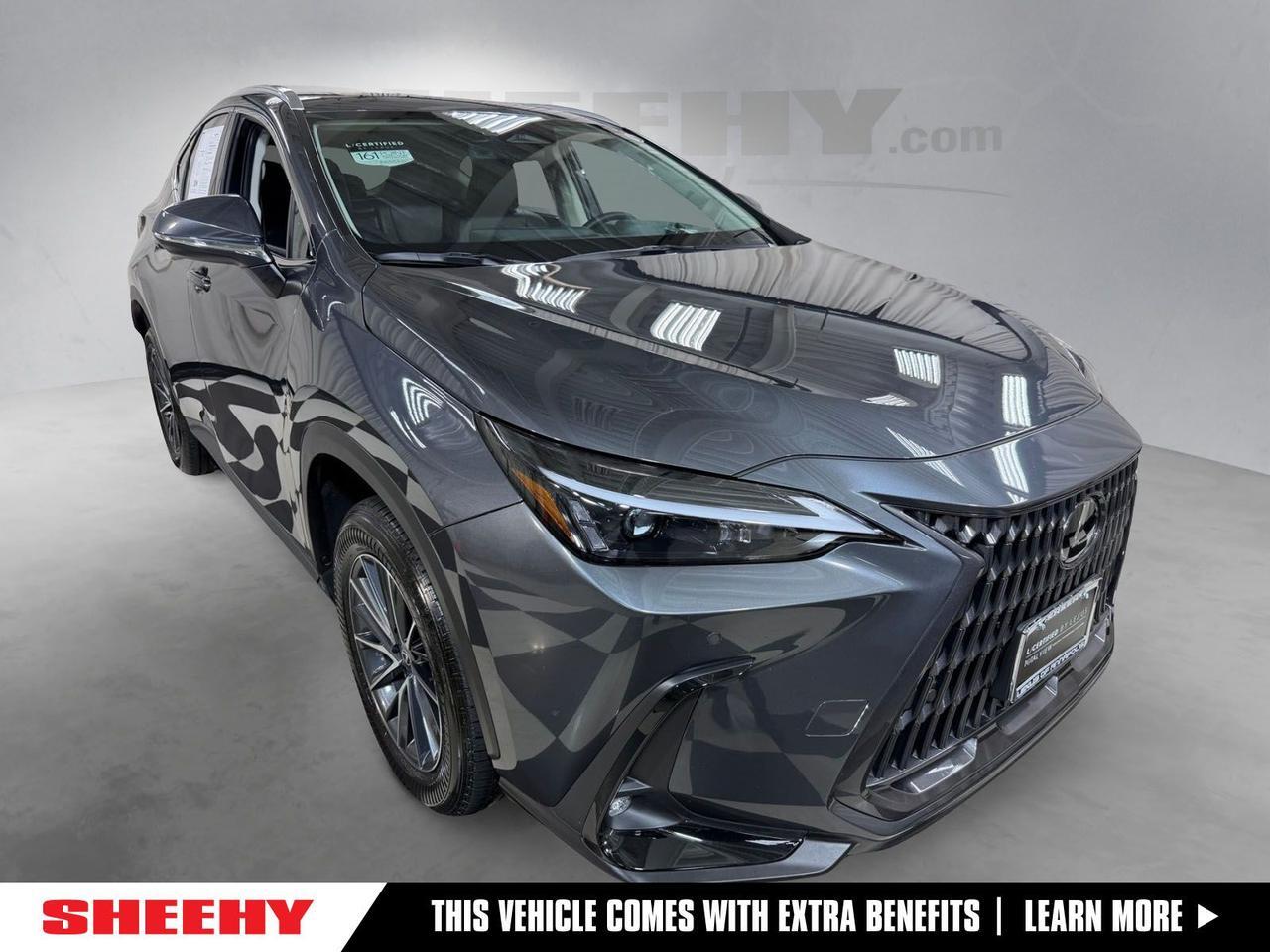 2025 Lexus NX