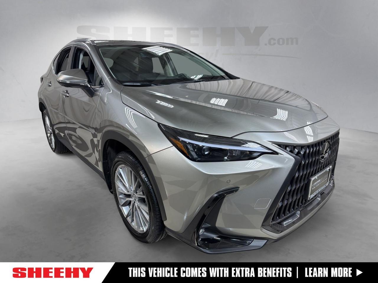 2025 Lexus NX