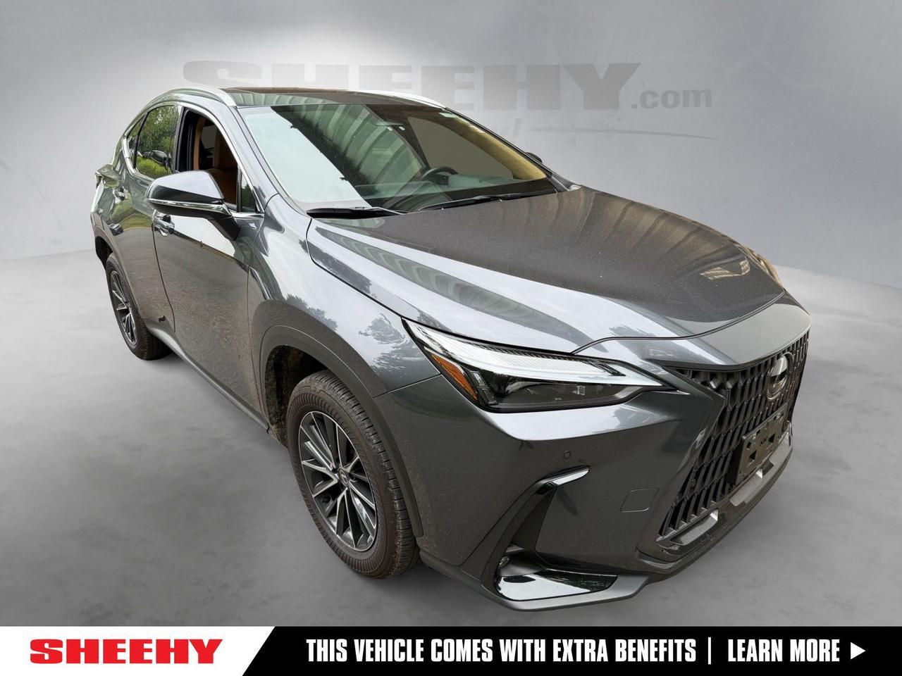 2025 Lexus NX