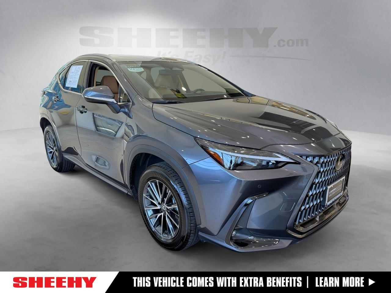 2025 Lexus NX 350 Premium