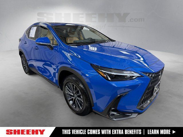 2025 Lexus NX