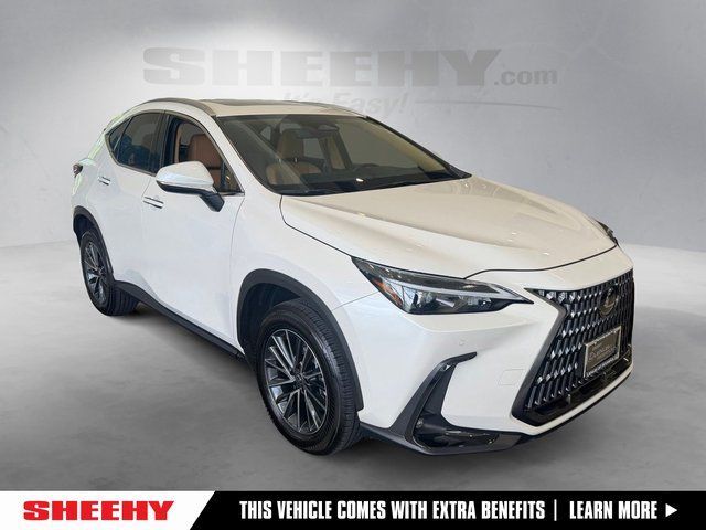 2025 Lexus NX