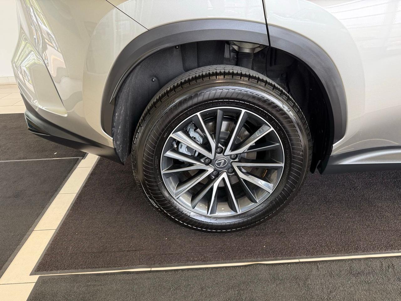 2025 Lexus NX 350 Premium Annapolis MD