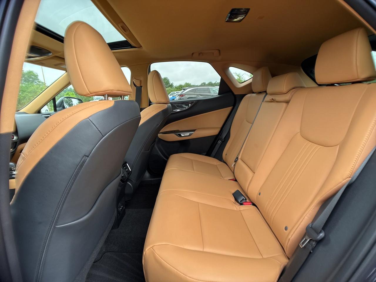2025 Lexus NX 350 Premium Chantilly VA