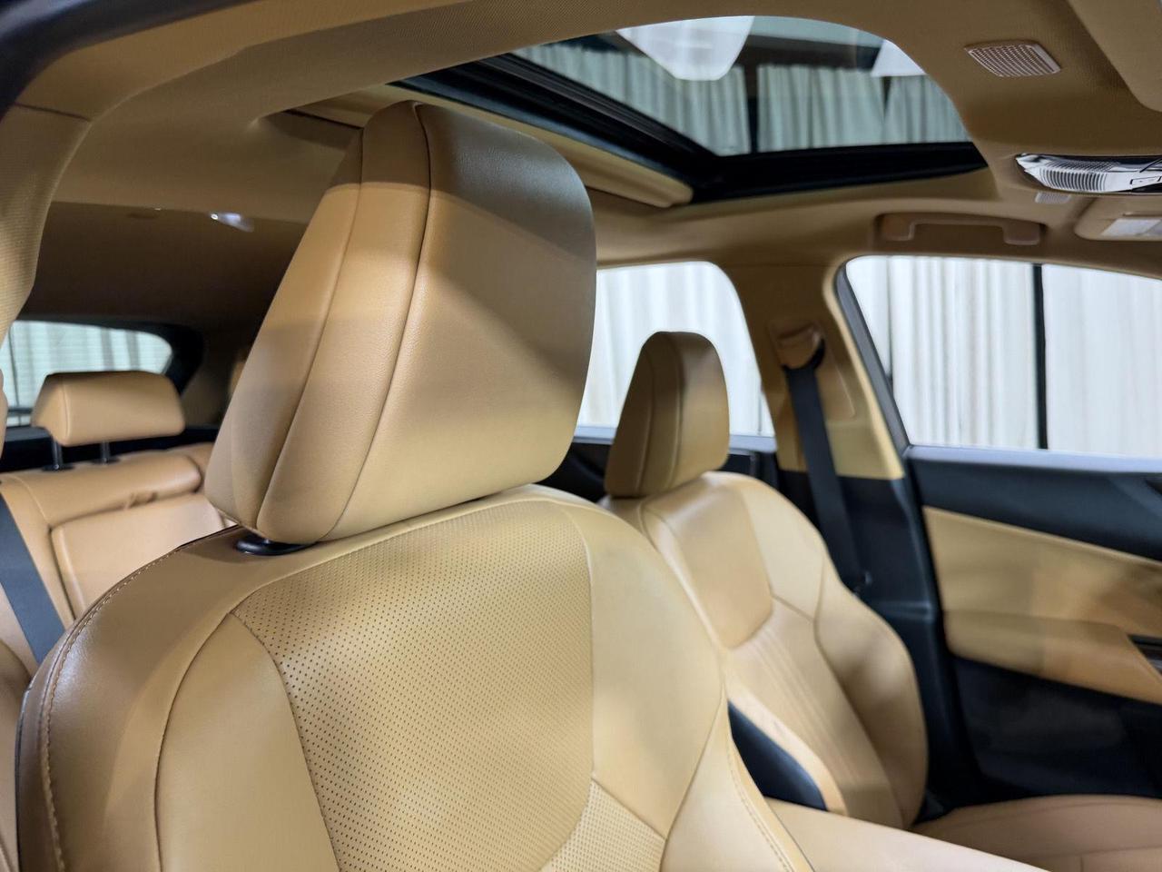2025 Lexus NX 350 Annapolis MD