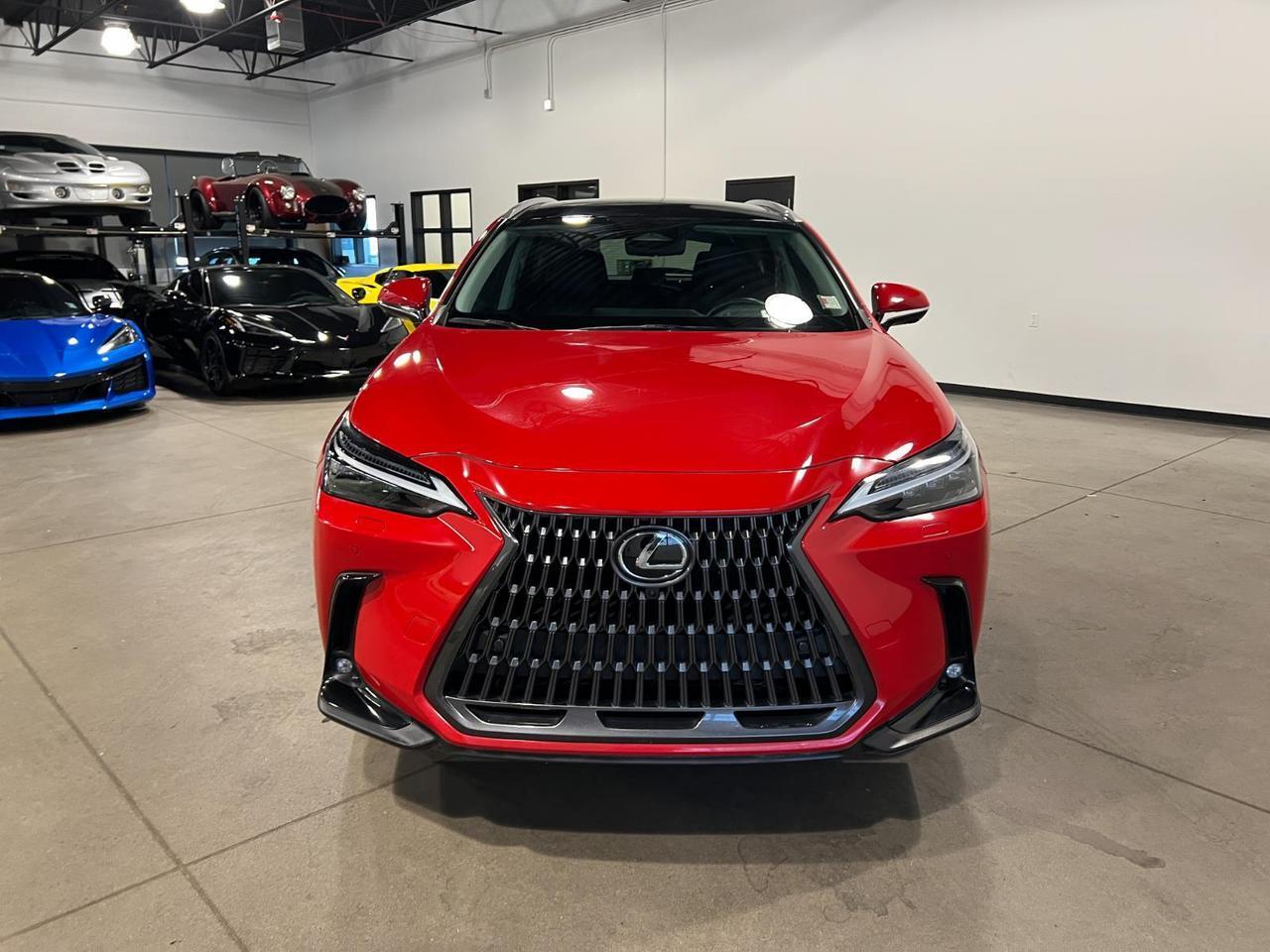 2025 Lexus NX 350h Luxury Parker CO