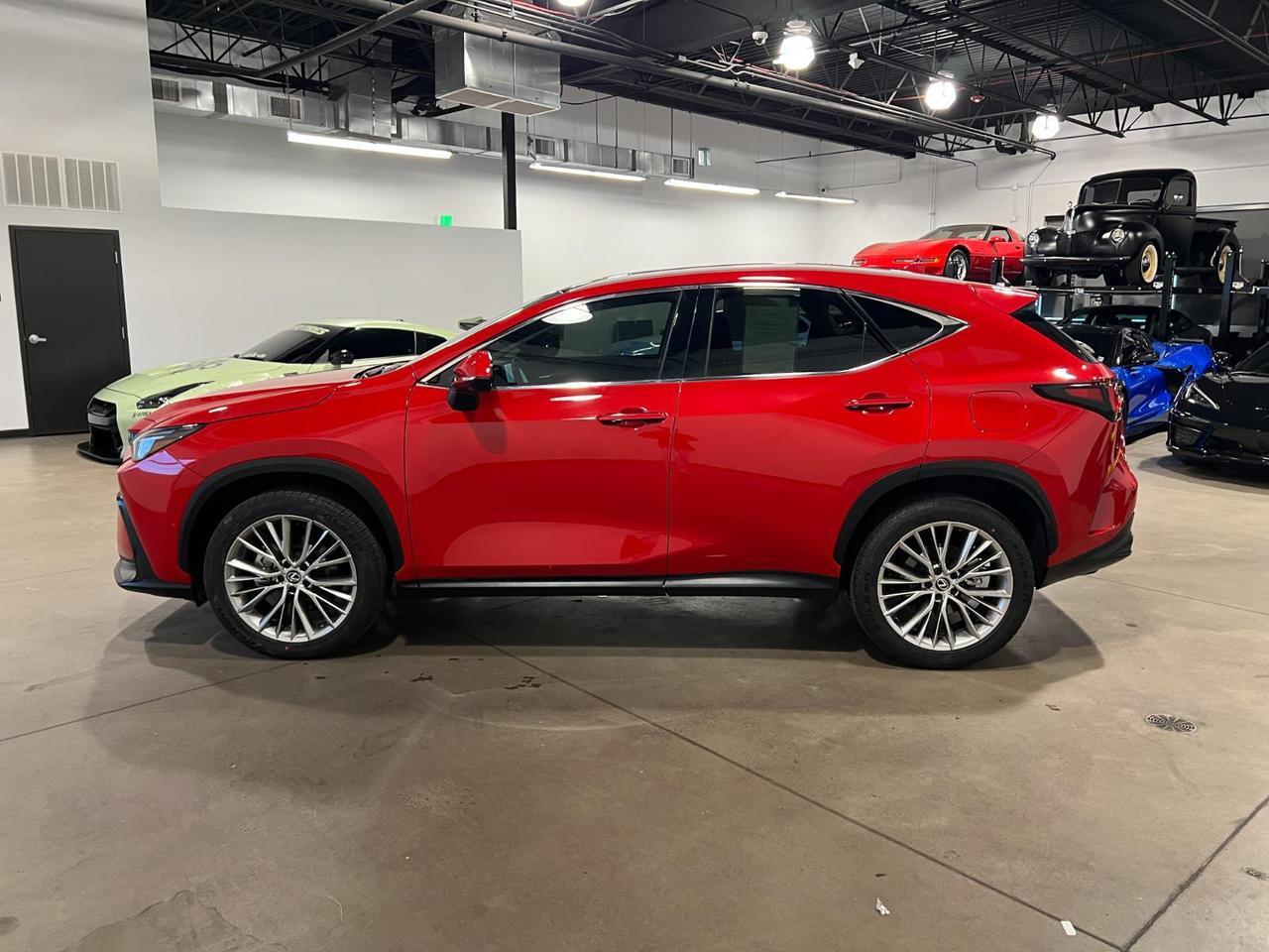 2025 Lexus NX 350h Luxury Parker CO