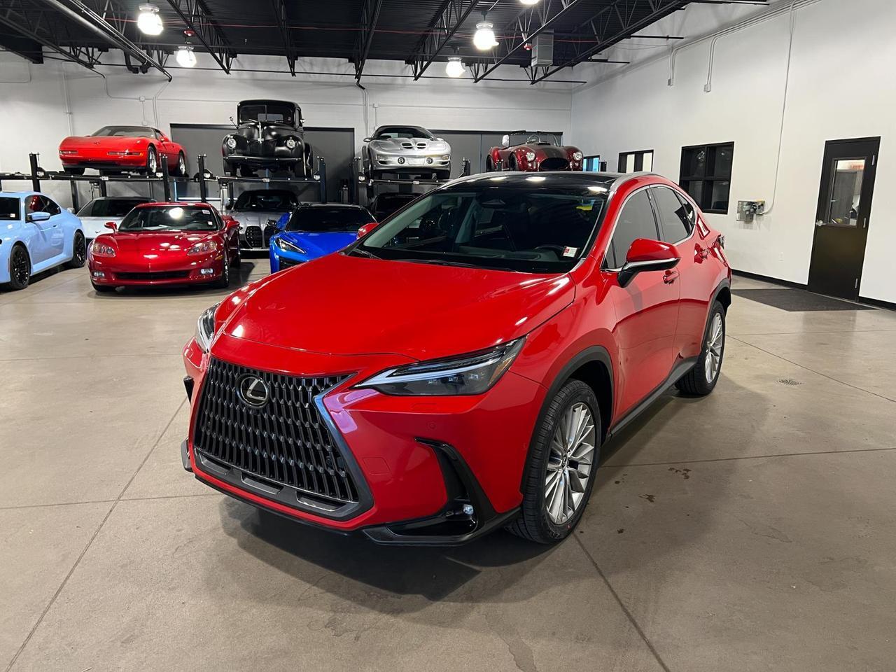 2025 Lexus NX 350h Luxury Parker CO