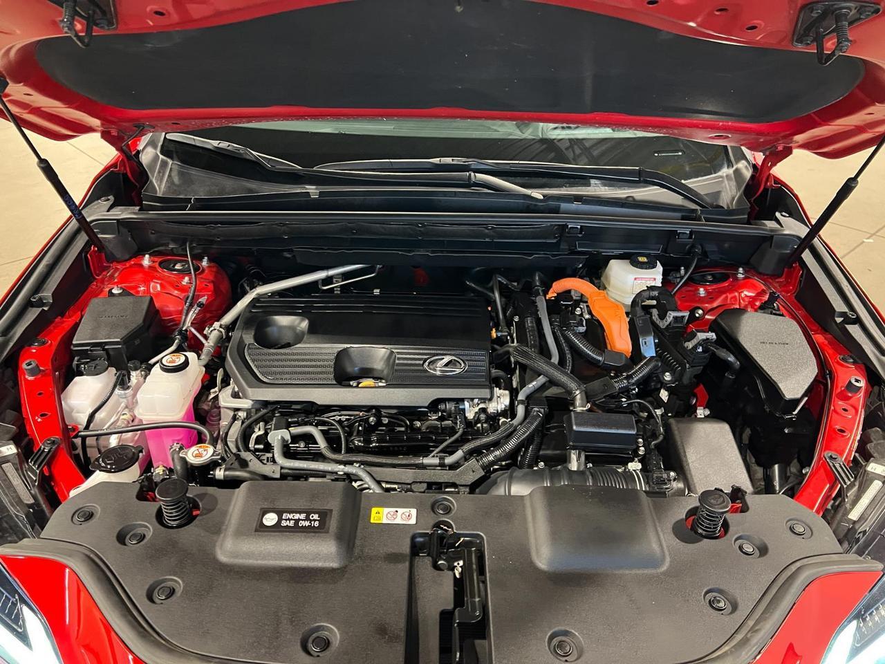 2025 Lexus NX 350h Luxury Parker CO