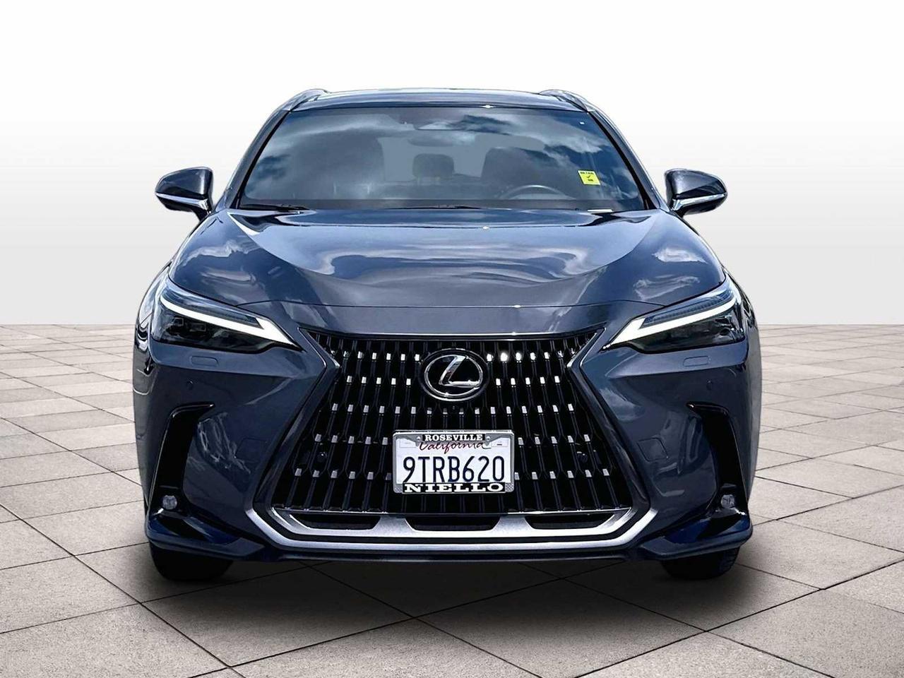 2025 Lexus NX 350h Luxury