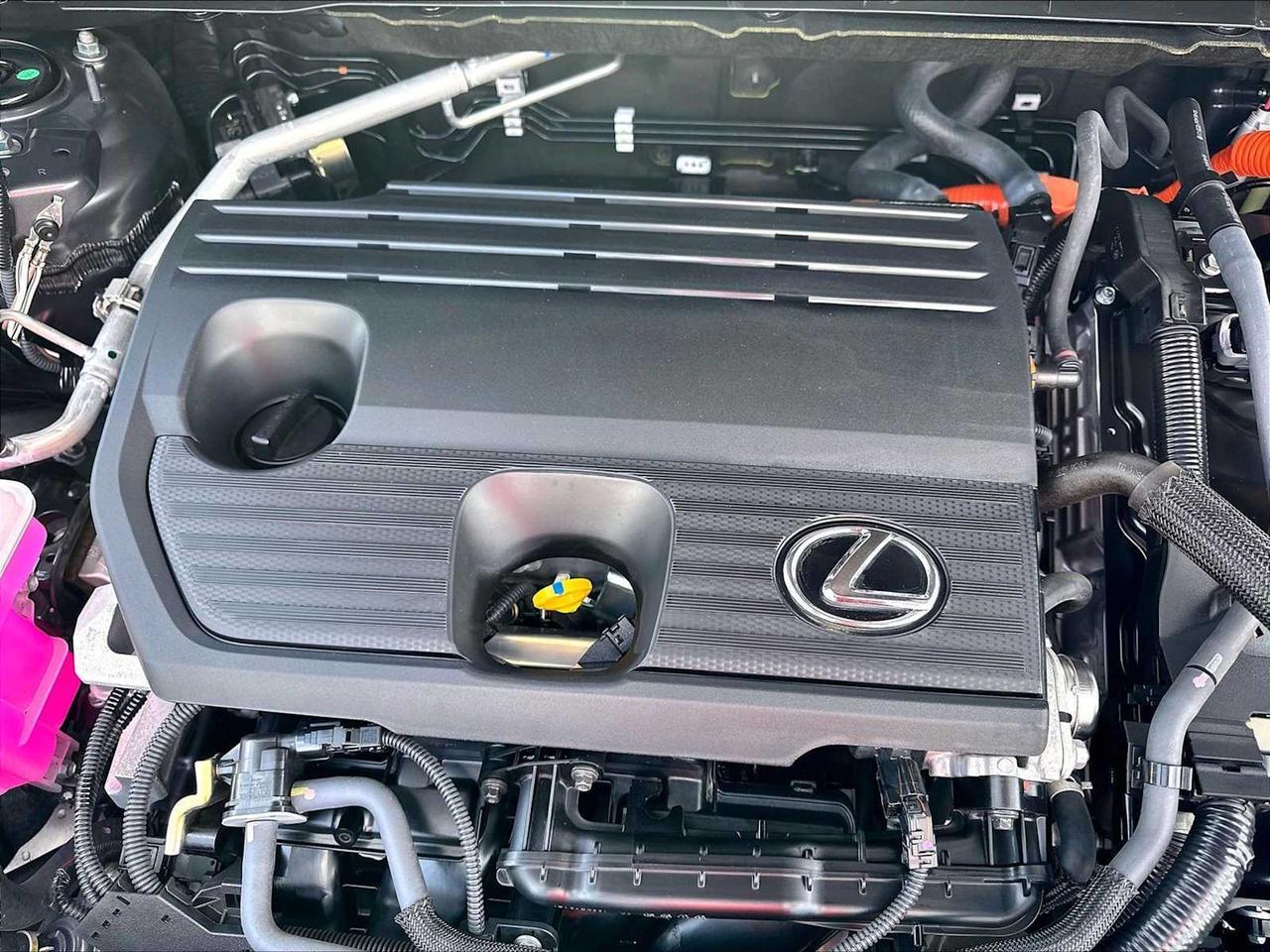 2025 Lexus NX 350h Luxury Roseville CA