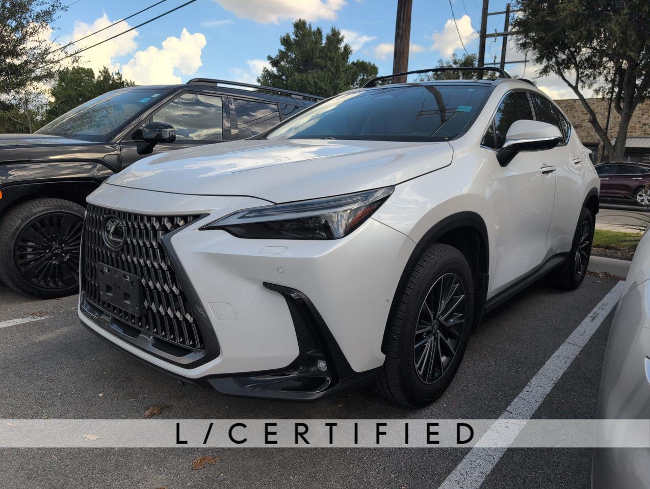 2025 Lexus NX