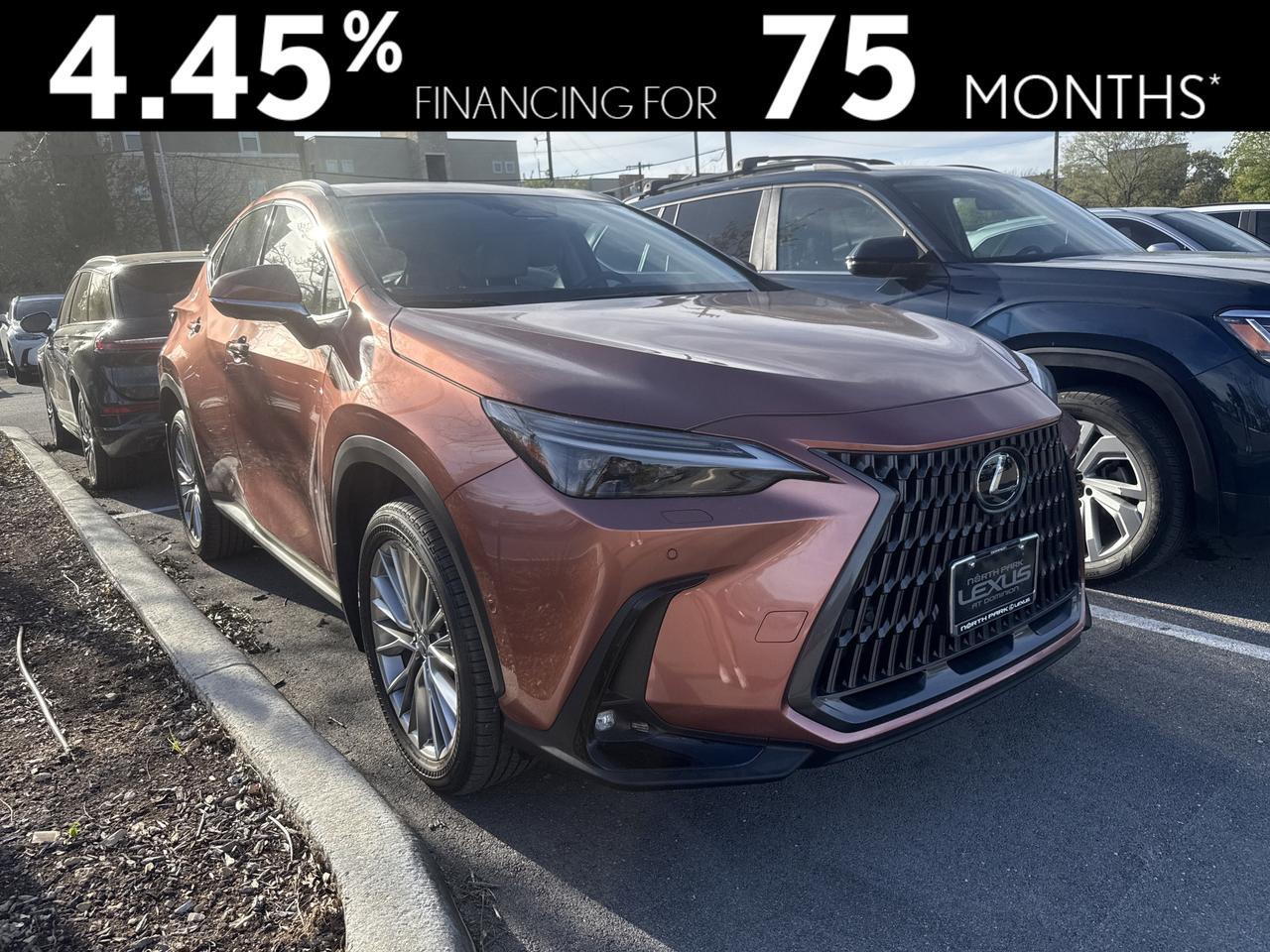 2025 Lexus NX