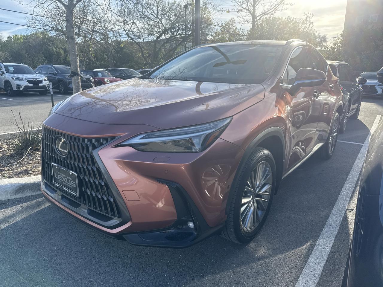 2025 Lexus NX 350h Luxury San Antonio TX