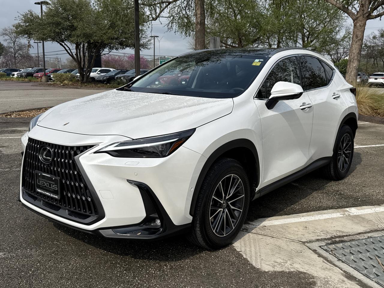 2025 Lexus NX 350h Luxury