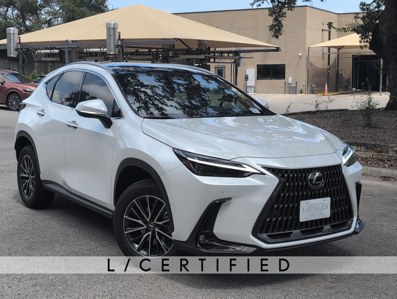 2025 Lexus NX