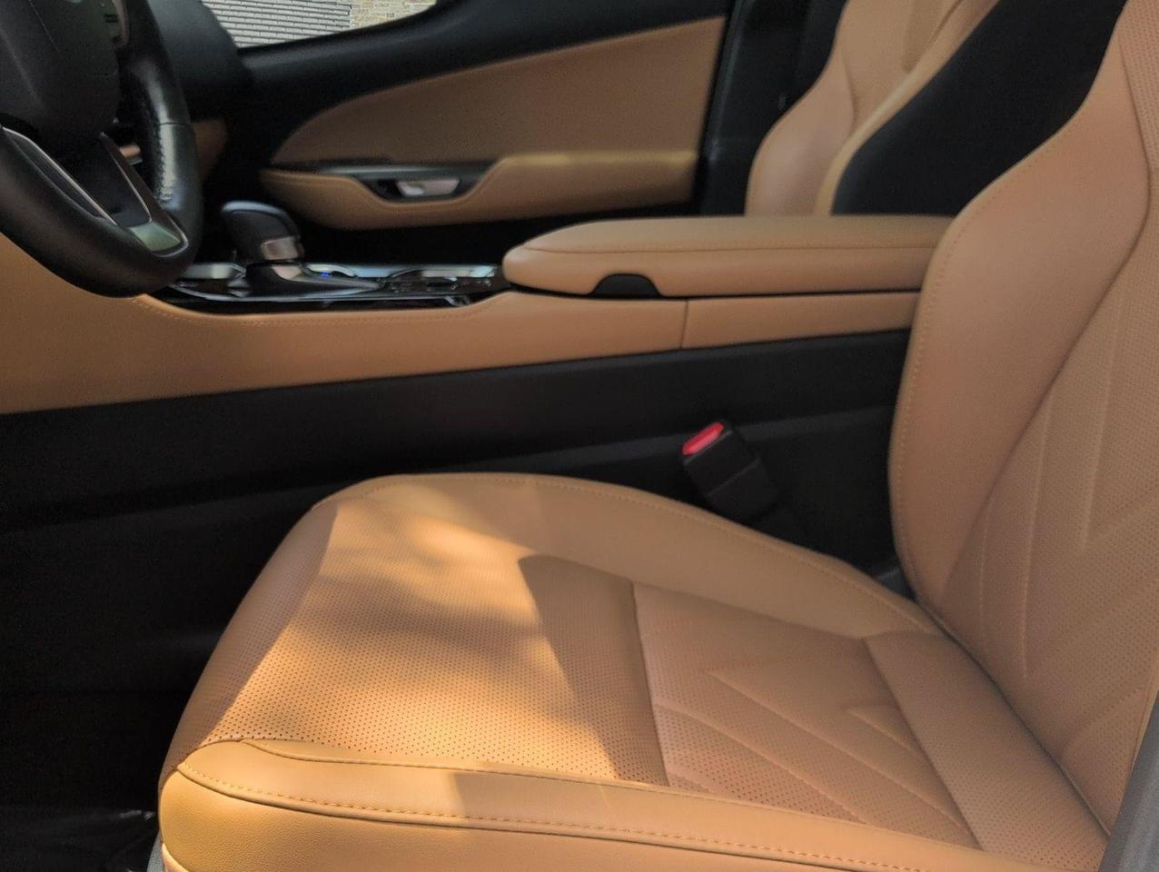 2025 Lexus NX 350h Luxury San Antonio TX