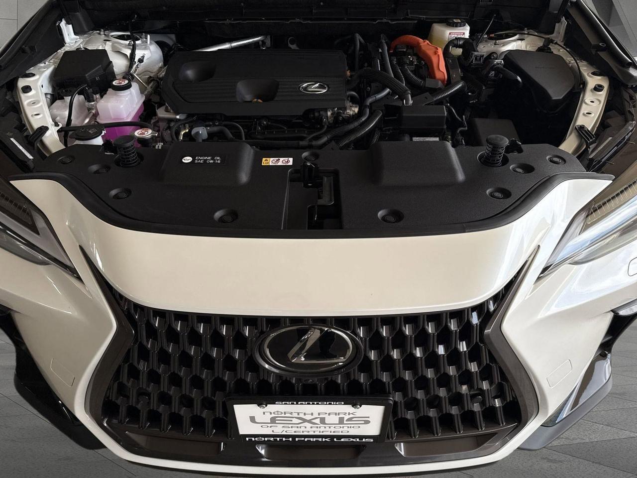 2025 Lexus NX 350h Luxury San Antonio TX
