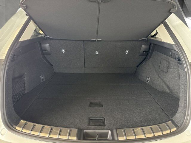2025 Lexus NX 350h Luxury San Antonio TX