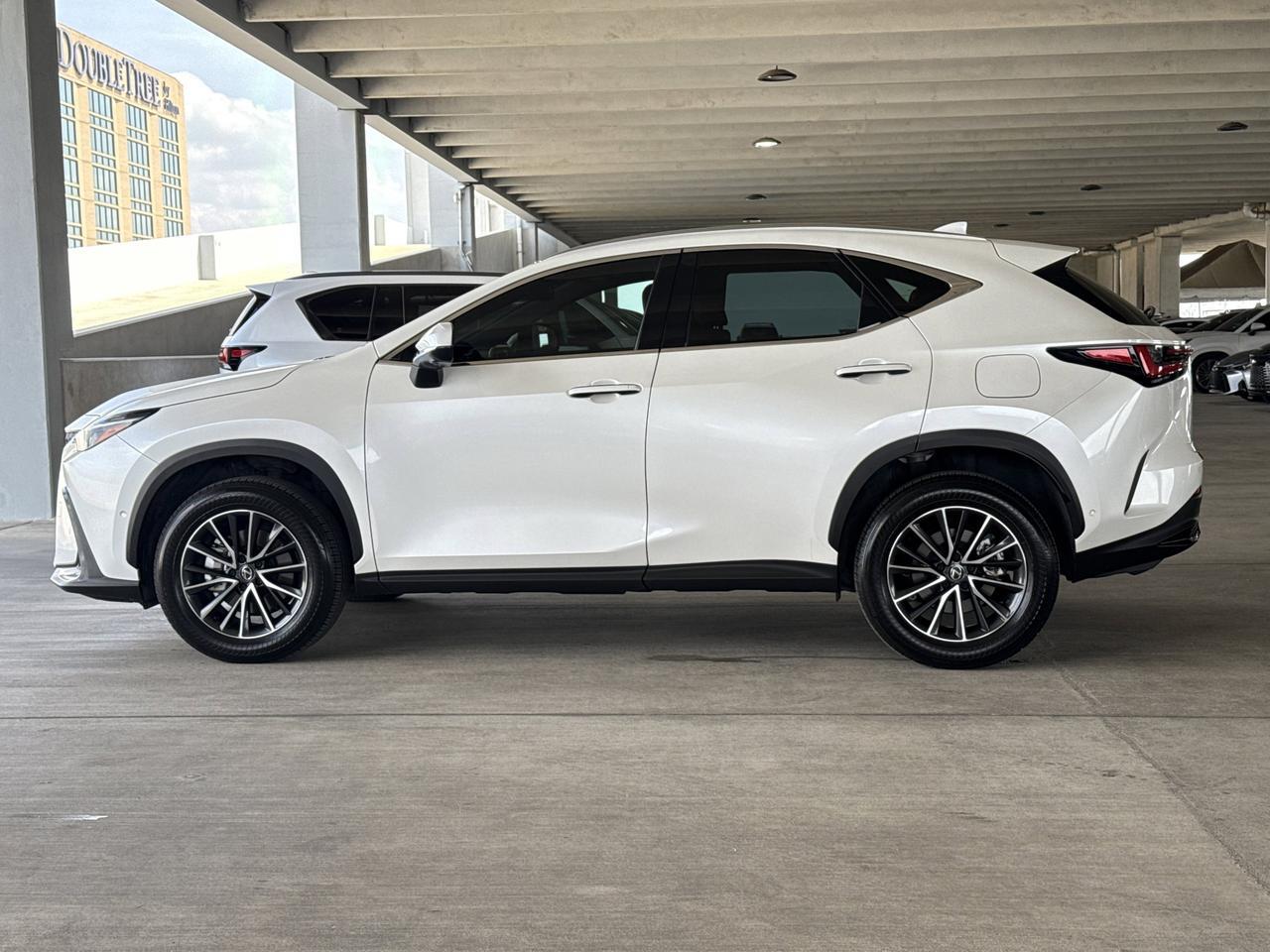 2025 Lexus NX 350h Luxury