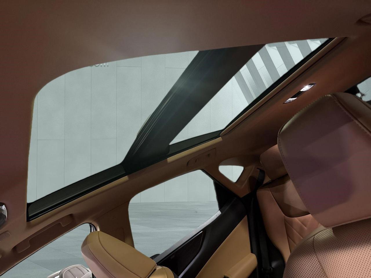 2025 Lexus NX 350h Luxury San Antonio TX